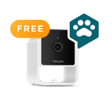 Petcube FluentPet Bundle