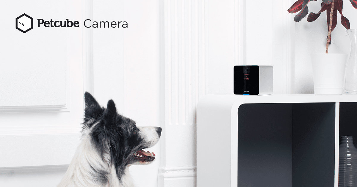 Petcube Camera | Store | Petcube: Remote Wi-Fi Pet Camera Petcube Camera | Store | Petcube: Remote Wi-Fi Pet Camera