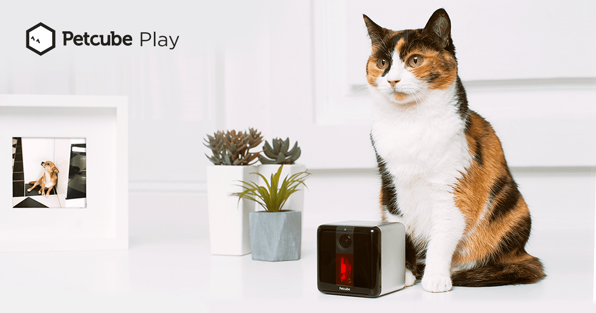 Petcube Play - Interactive Wi-Fi Pet Camera To Monitor And Play