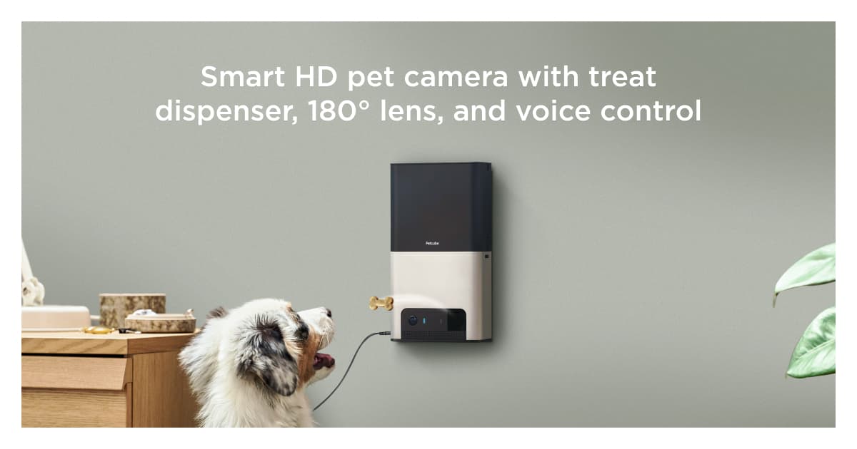 camera and treat dispenser for dogs