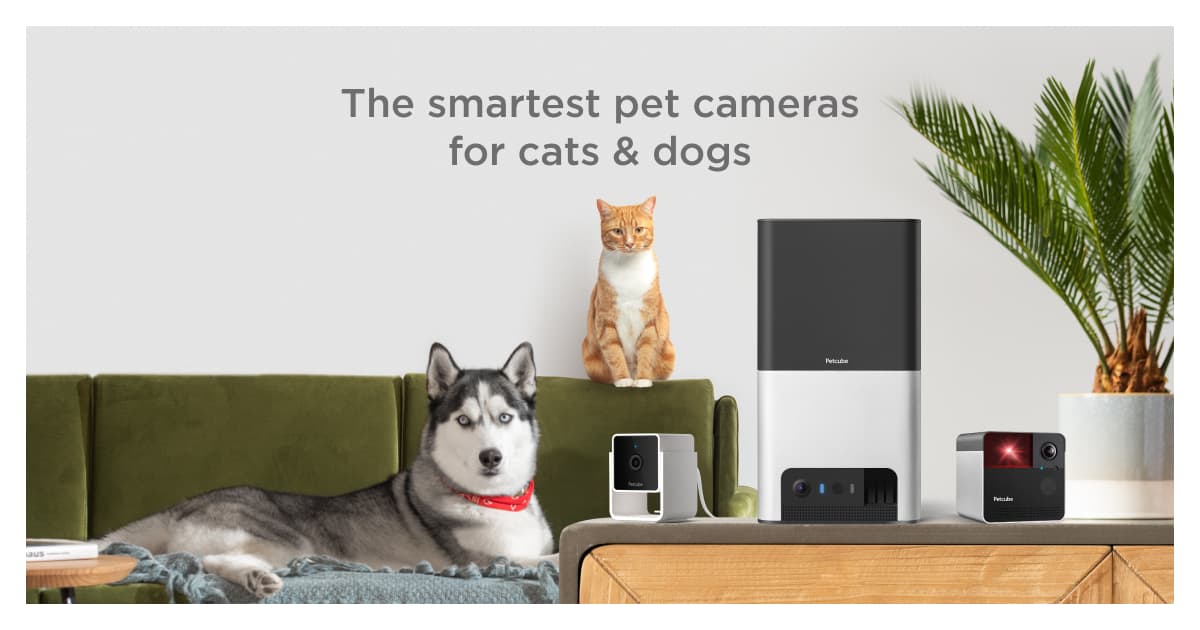 Petcube Cam - camera de surveillance sans fil pour animaux