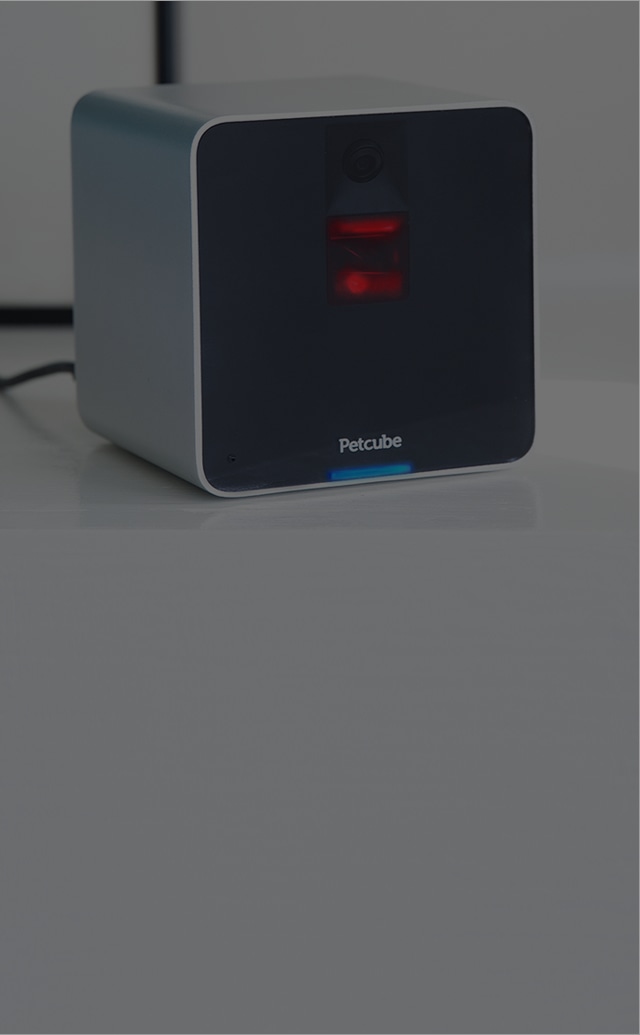 Petcube Remote WiFi Pet Camera Pet Monitor System