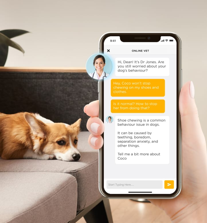 petcube phone number