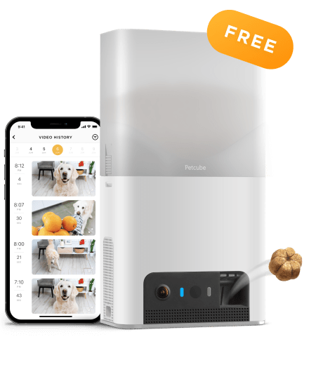 Petcube Bites 2 Lite Smart Pet Camera with Treat Dispenser