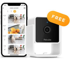 Petcube Care Bundle