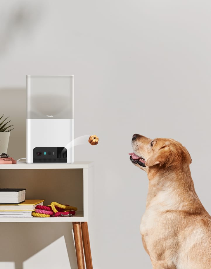 Petcube Bites 2 Lite Interactive WiFi Pet Monitoring Camera with Phone App and Treat Dispenser