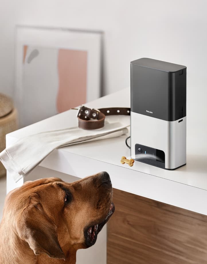 Petcube Bites 2 Smart Pet Cam with 