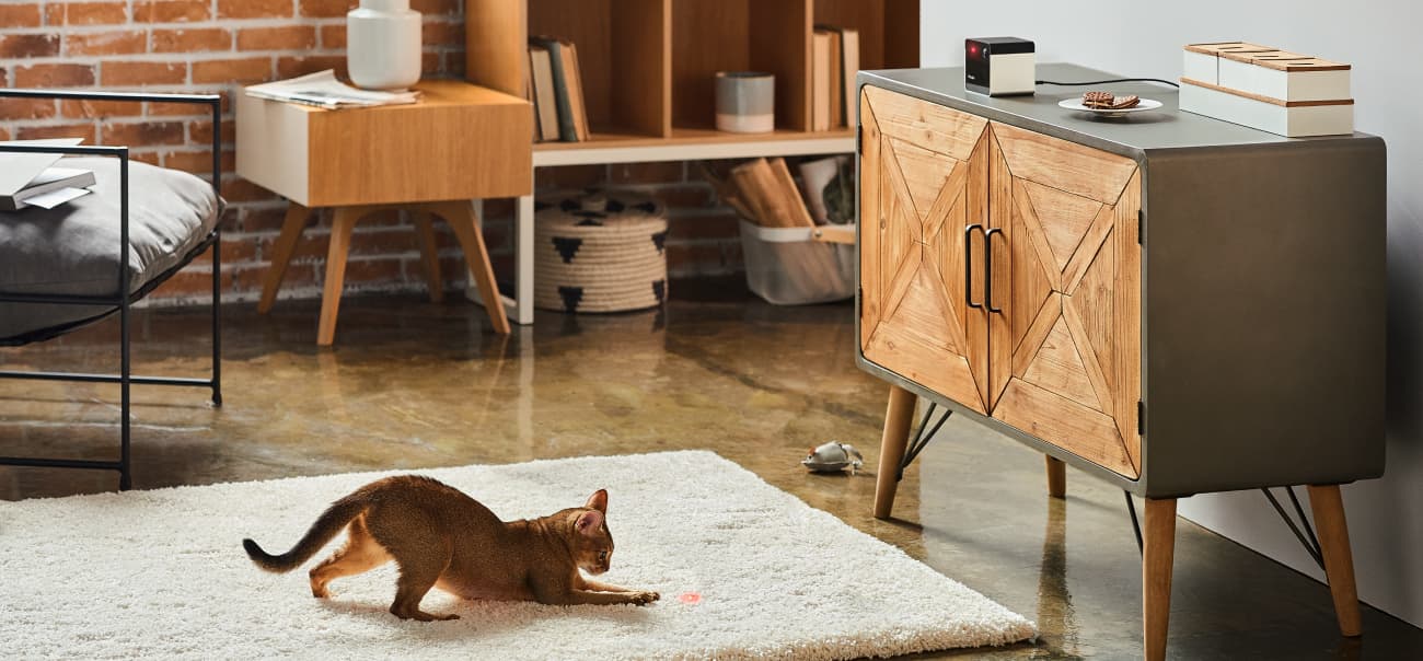 Cat playing with Petcube Play 2