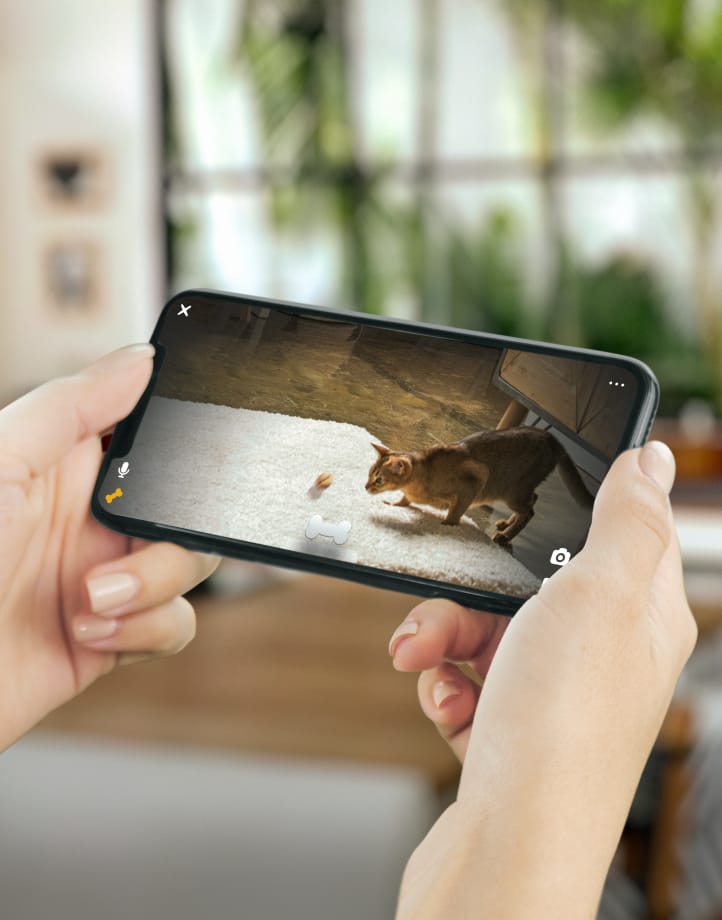 Petcube Bites 2 Lite smart HD pet camera has a treat dispenser, 160° view,  and 2-way talk » Gadget Flow