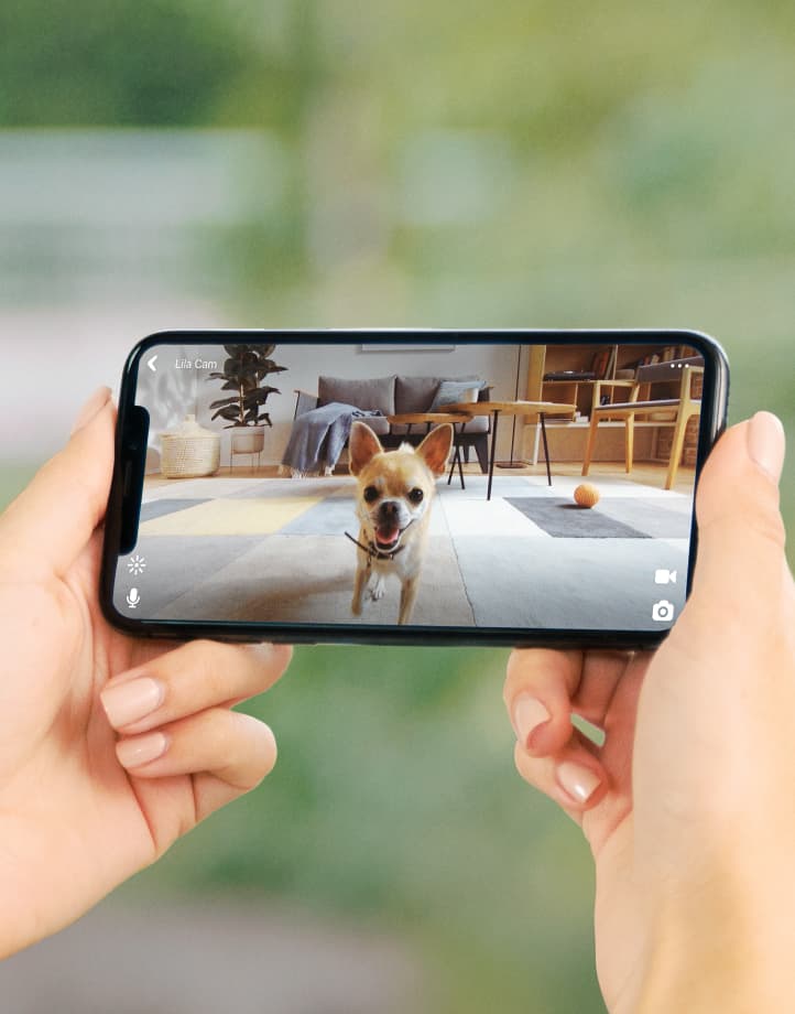 QoQa - PetCube Caméra interactive pour animaux
