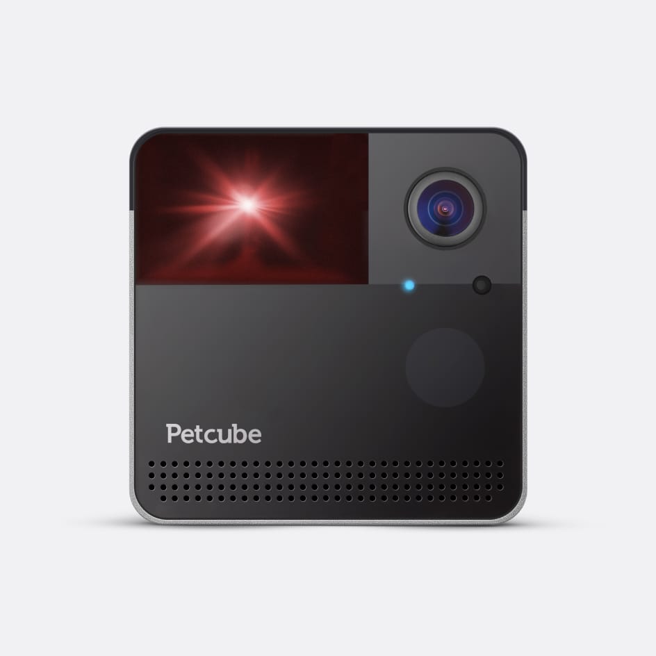 Petcube interactive best sale