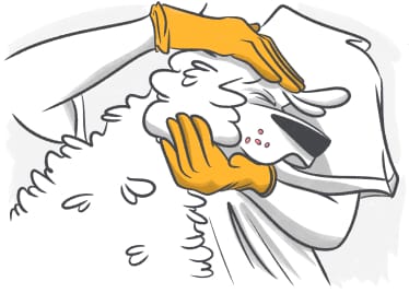 Scheduled appointments