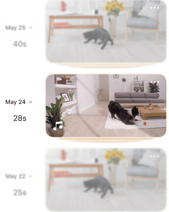 Daily Diary Timeline