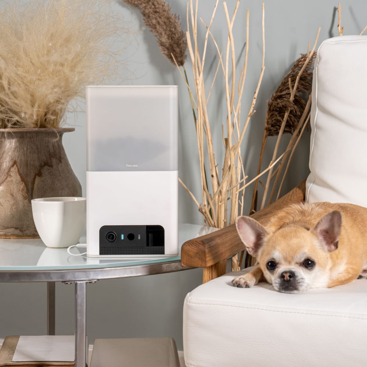 Petcube Bites 2 Lite Interactive WiFi Pet Monitoring Camera