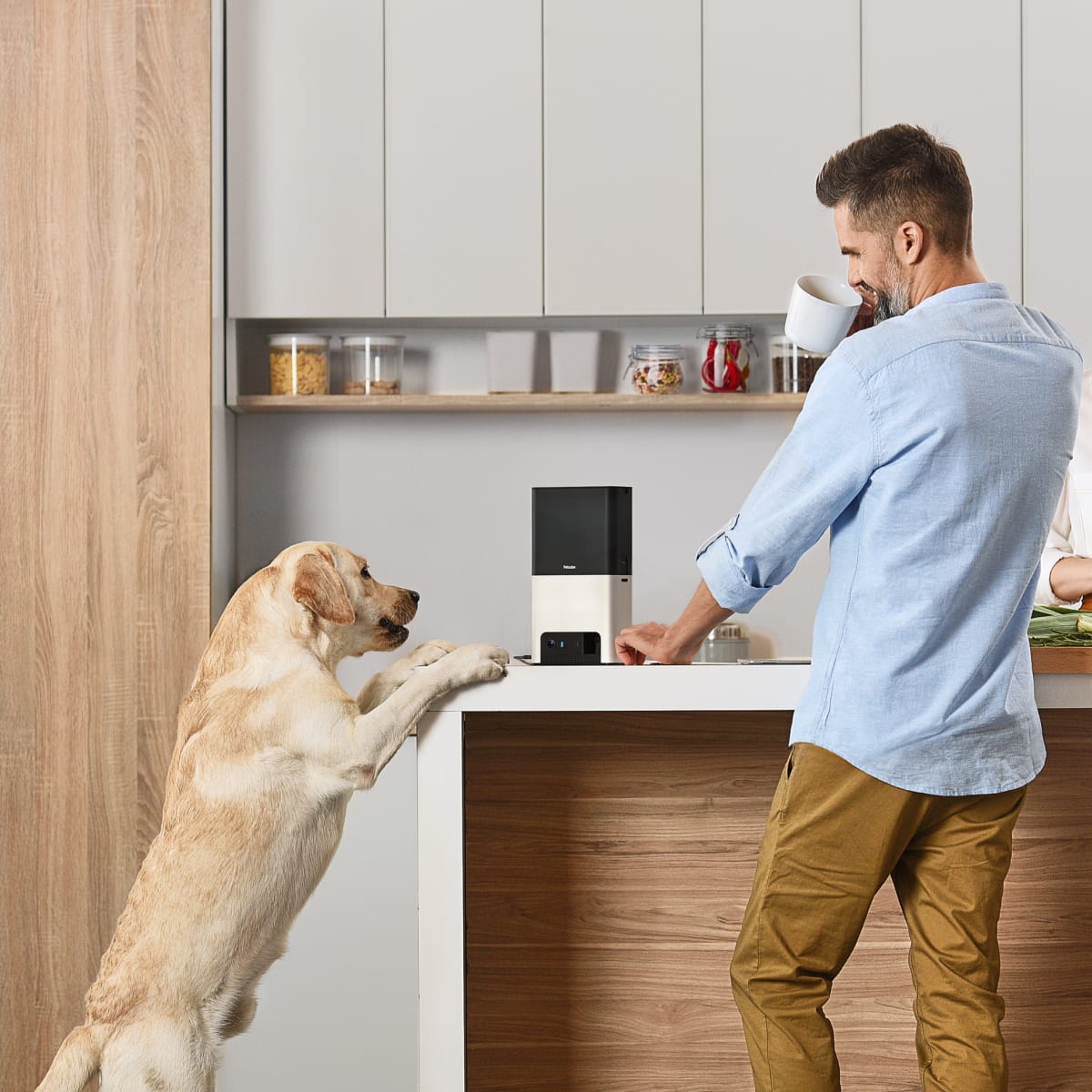 Petcube Bites 2 Pet Camera with Treat Dispenser
