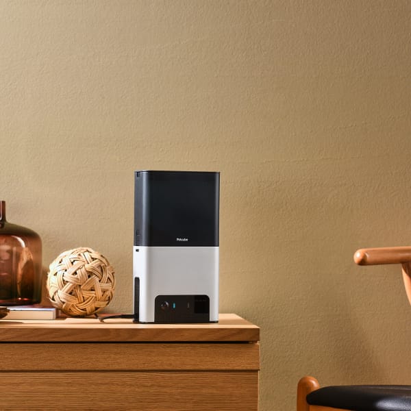 Bites-2 Interior-2.Jpg