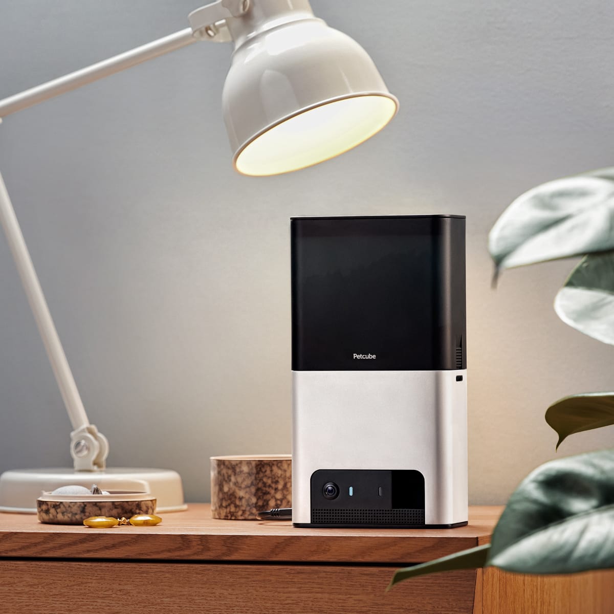 Petcube Bites 2 Pet Camera with Treat Dispenser