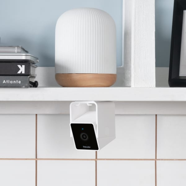 Cam-2-Pack Interior.jpg