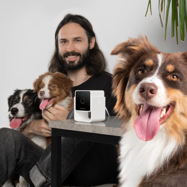 Cam-3-Pack Family.jpg