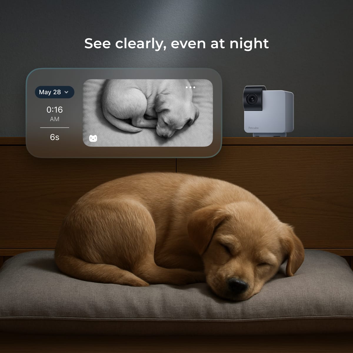 Cam-360-2-Pack See-At-Night.jpg