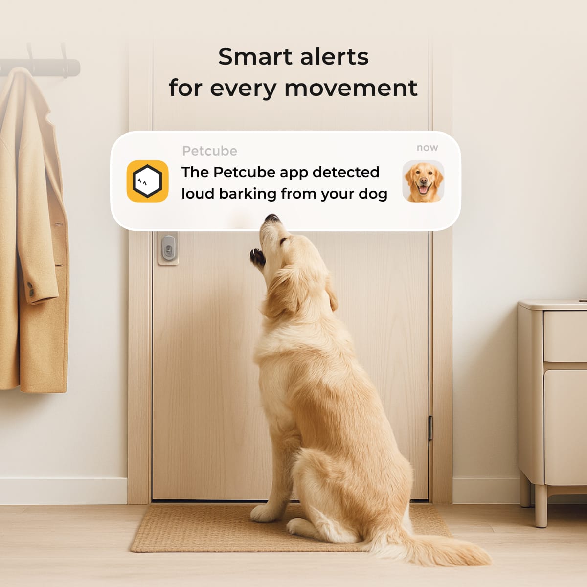 Cam-360-2-Pack Smart-Alerts.jpg