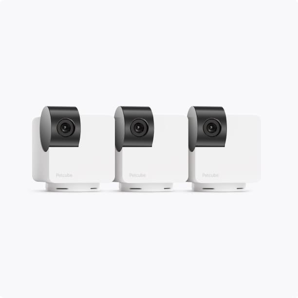 Petcube deals Camera