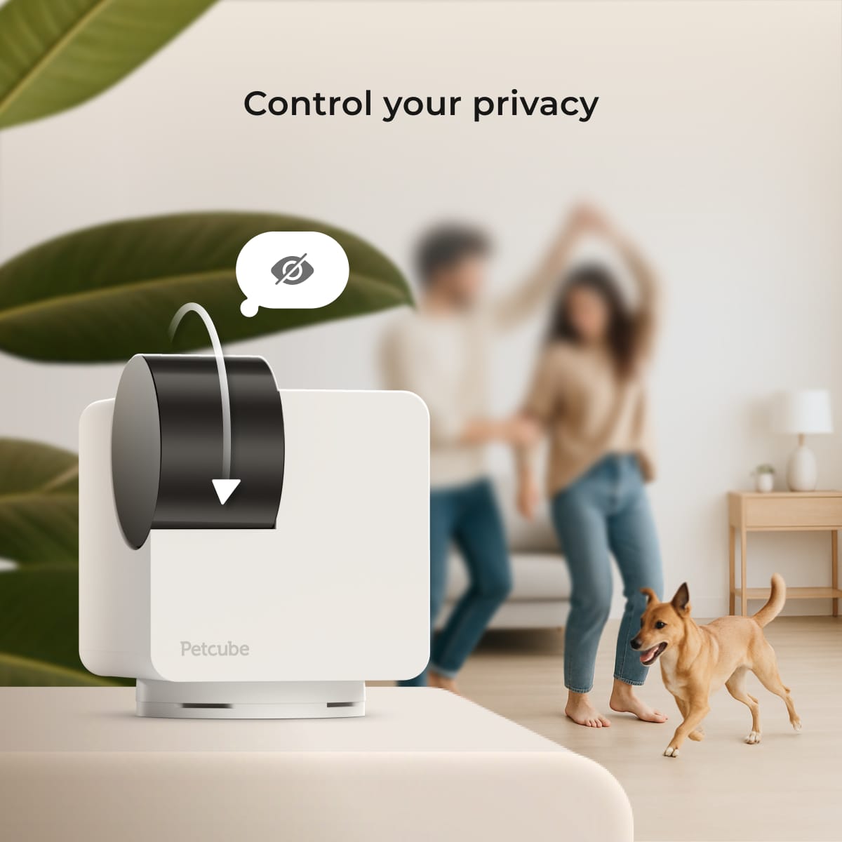 Cam-360-3-Pack Control-Privacy.jpg