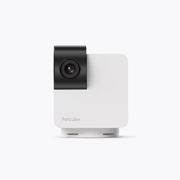  Petcube Cámara Cam 360  Cámara interactiva WiFi para mascotas  y seguridad para el hogar con aplicación de teléfono, video HD de 1080p,  rotación de 360°, visión nocturna, alertas inteligentes para : Electrónica