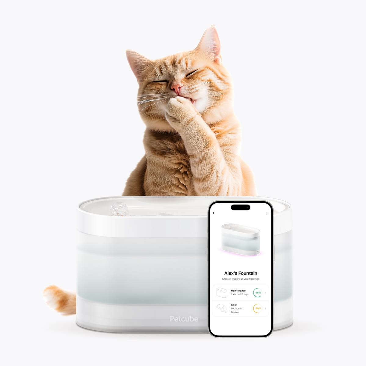 Petcube Pet Water Fountain | Automatic Wireless Fountain for Cats and Dogs with Stainless Steel Bowl, Easy To Clean, 4-Layer Fil