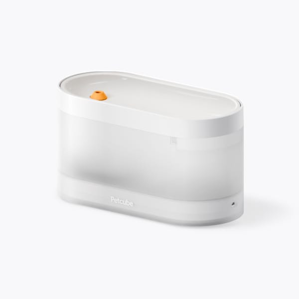 Fountain Side-Face-Top.jpg