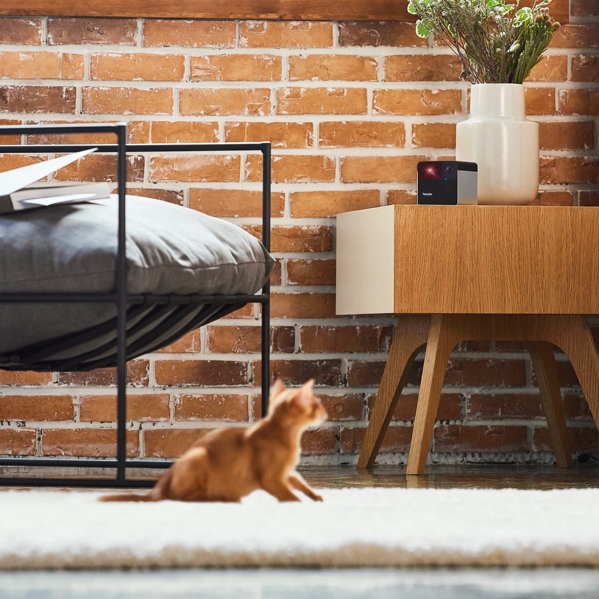 Petcube Play 2 Smart Pet Camera with Laser Toy