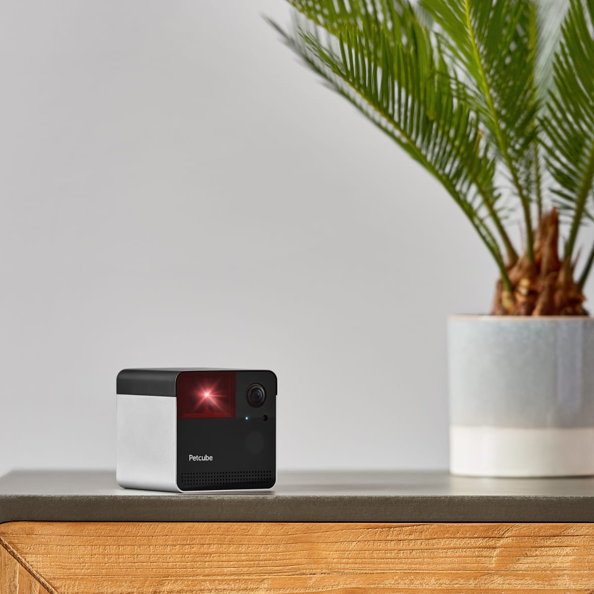 Petcube Play 2 Smart Pet Camera with Laser Toy