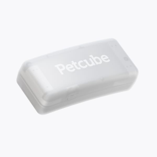 Petcube GPS Tracker