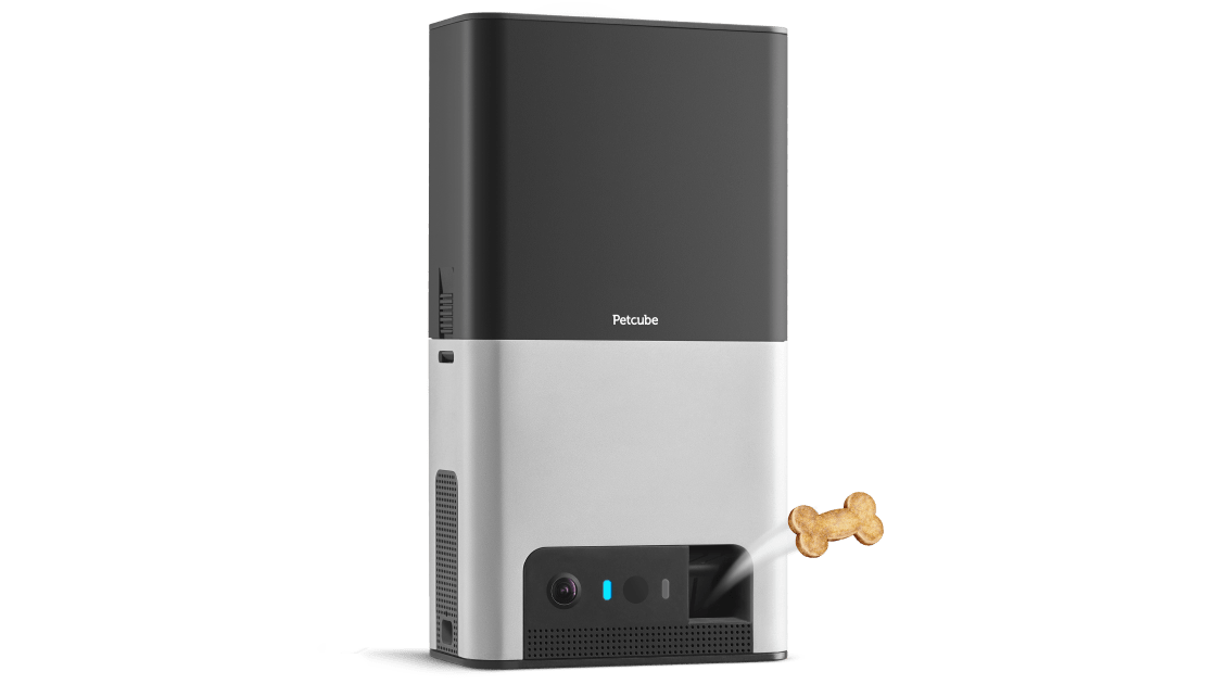 Petcube Store Pet Cameras, Food & Supplies for Dogs & Cats