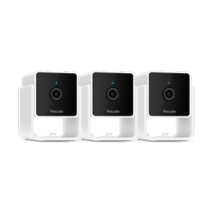Petcube Cam 3 Pack