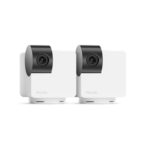 Petcube Store: Pet Cameras, Food & Supplies for Dogs & Cats