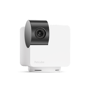 Petcube Cam 360