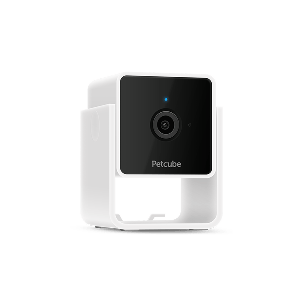 Petcube Cam