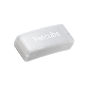 Petcube GPS Tracker