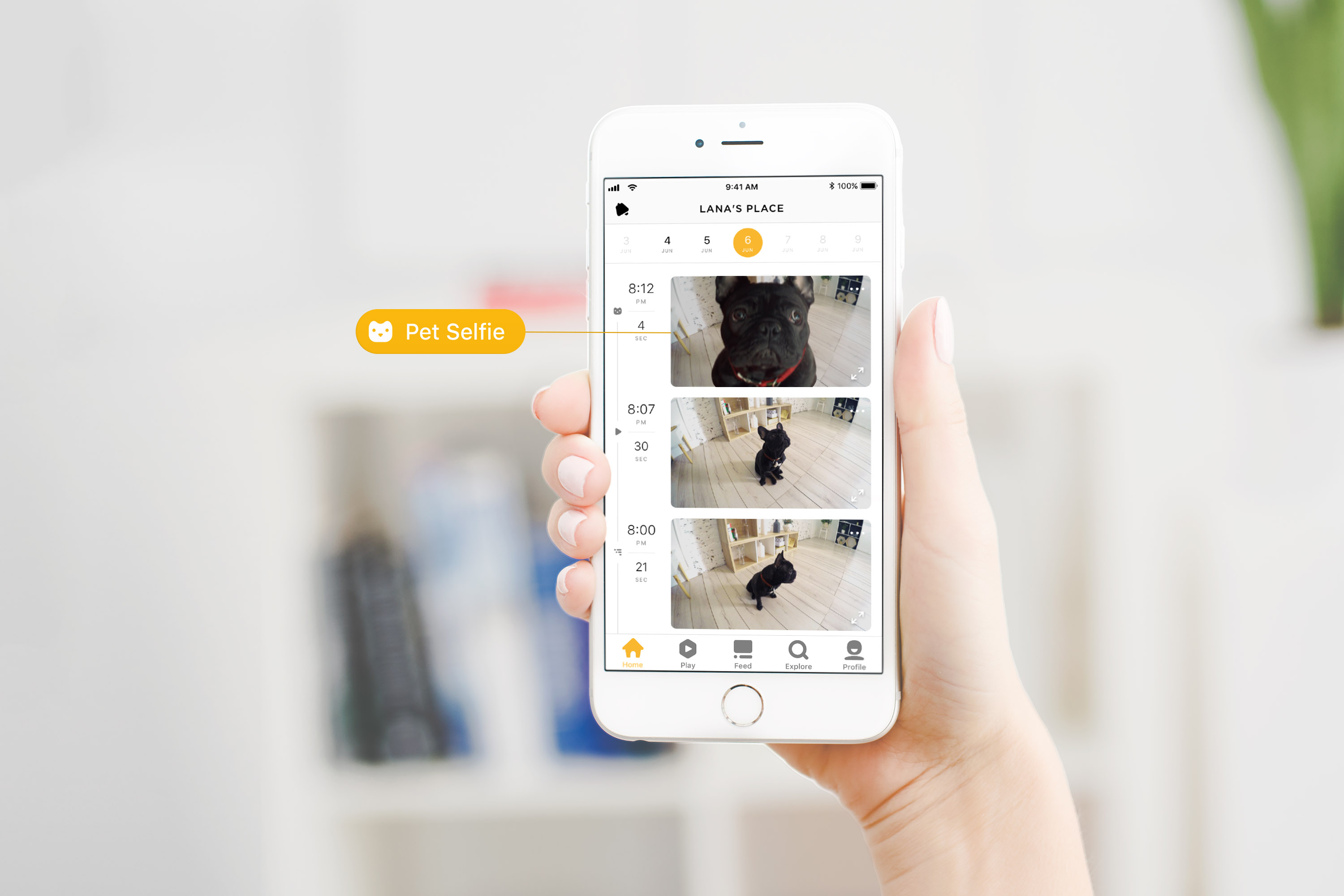 Pet Selfie on Petcube Care timeline