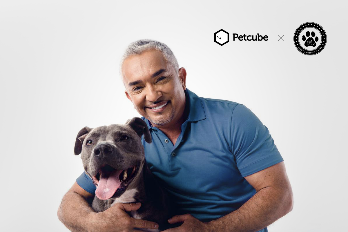 cesar millan