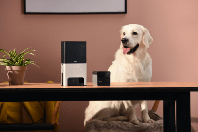 Petcube Unveils The Most Advanced Interactive Pet Cameras