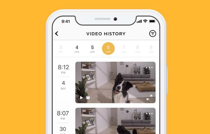 Petcube Care app timeline