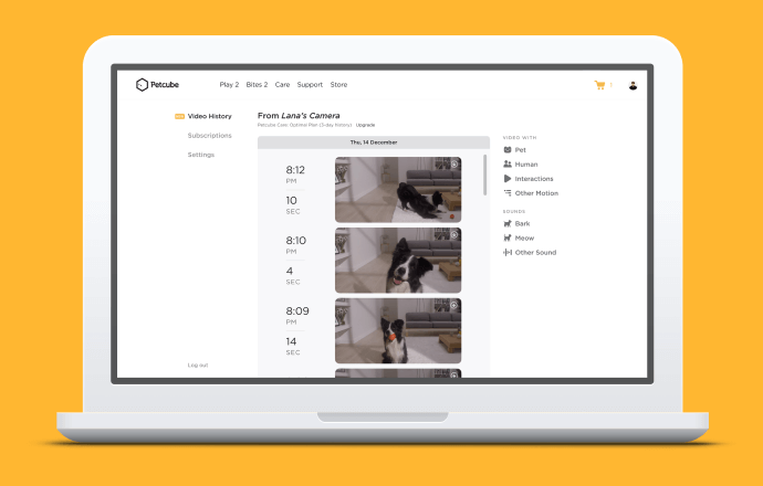 Petcube Care web timeline