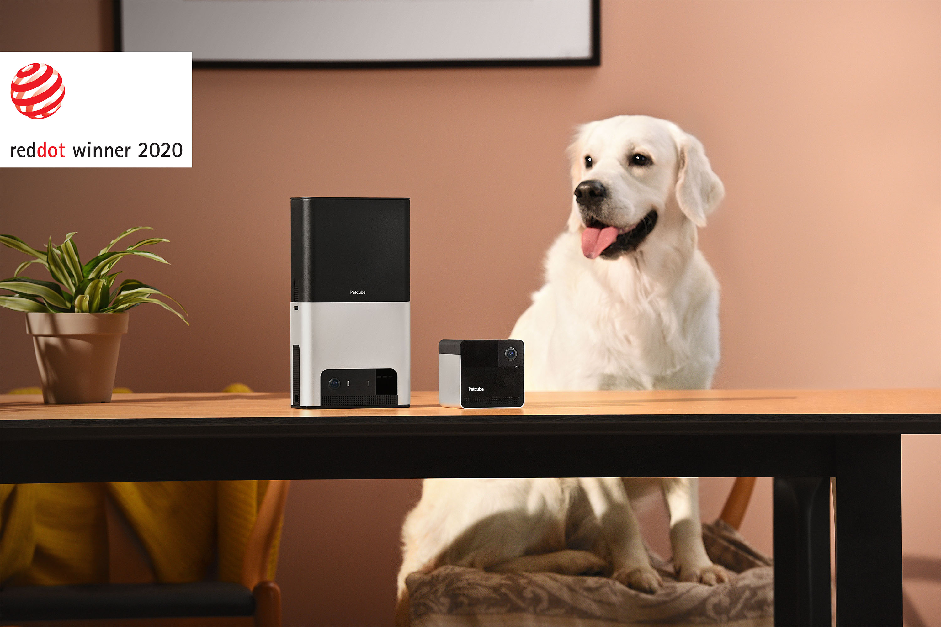 Petcube Wins Two Prestigious Red Dot Awards in Product Design