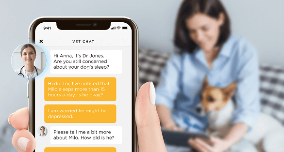 Free live chat with vet