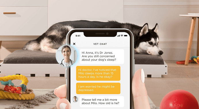 vet chat interface