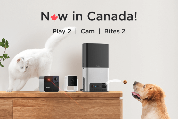 Petcube canada on sale