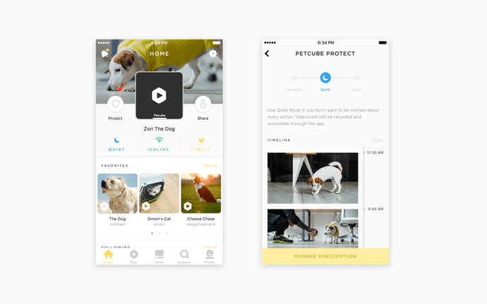 Petcube Protect preview