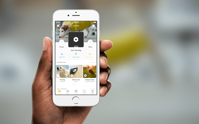 Petcube Protect preview